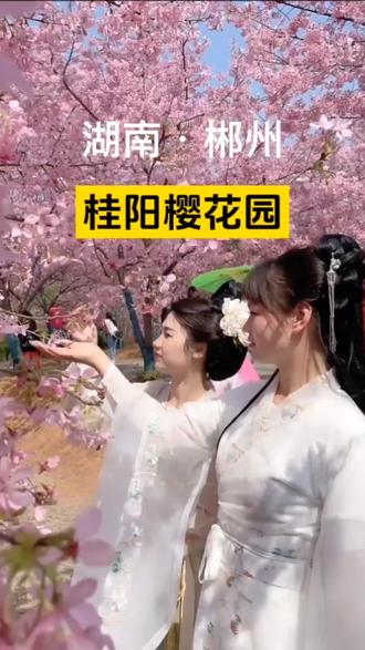汉服拍照、踏青打卡,随手一拍都是春日大片。这个春天,总要来一次桂阳赴樱花之约吧~#桂阳樱花园 #桂阳樱花 #郴州周边游