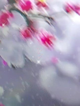 S-4XL好品质长袖开衫条纹背心吊带女秋季小众撞色辣妹时尚两件套