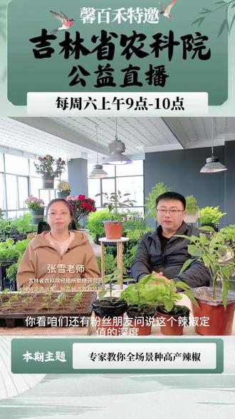 辣椒定值的深度到底是多少最好 #营养土 #在家种菜 #种植小技巧 #三农 #菜园子