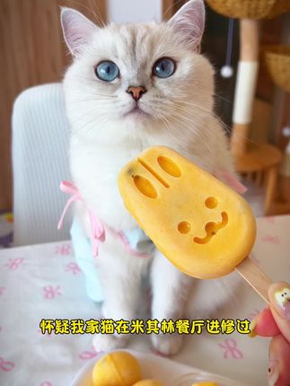 小西米是只淘气喵