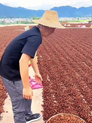 快快快,正宗广西八角上市了,无熏硫,做菜放一颗味道特别香!#八角 #广西八角 #厨房调味品 #香料