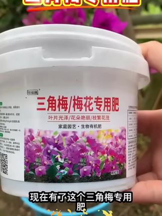 #三角梅专用肥 #三角梅专用肥料 #梅花专用肥