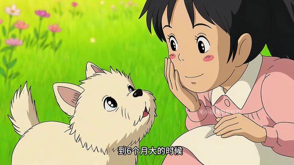 狗狗一岁等于人类七岁?狗狗年龄怎么换算 ?#养狗经验分享 #狗狗一岁等于 #狗狗一岁等于人类几岁 #科学养宠 #狗狗年龄 ?