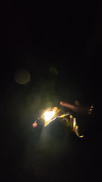 去了喵星报你柱哥名,包好使的!走好 #猫咪 #小动物 #南浔铁柱 #喵星人 #热点