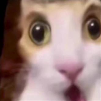 画一只惊讶猫#猫meme #表情包 #丙烯画 #抽象