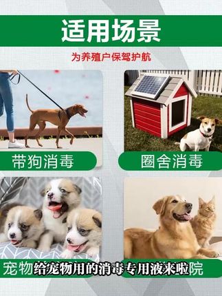 狗舍犬场消毒首选!戊二醛和聚维酮碘,替换使用能有效杀灭养殖场细菌病毒!消毒更彻底!