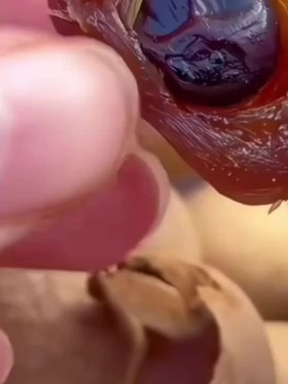 #无限回购的宝藏单品 #优质农产品 #健康食材 #强烈推荐