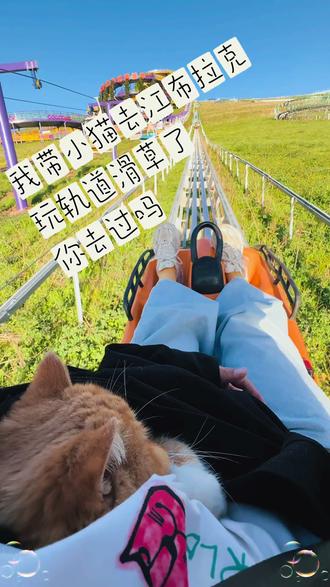 小猫咪都去#江布拉克滑道 滑草啦
#小猫户外