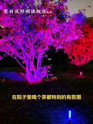 新款户外太阳能灯,超亮照亮庭院草坪! #新款地插灯 #花园好物 #太阳能地插灯 #超亮草坪灯 #户外太阳能灯