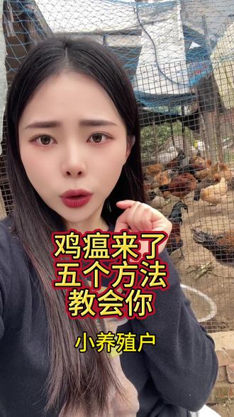 #鸡 #养鸡 #养鸡小妙招 鸡瘟来了,5个土方,关注收藏