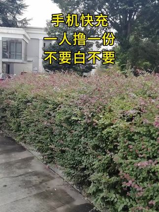 #快充 #快充数据线 #超便宜超划算 #一个账号只能领一次 #涨知识