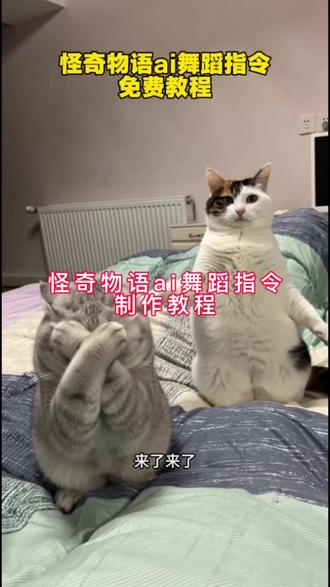怪奇物语ai舞蹈特效入口,怪奇物语ai舞蹈指令制作教程#怪奇物语舞蹈 怪奇物语跳舞视频原视频 小猫咪跳舞视频 小猫咪训练方法 怪奇物语ai舞蹈 萌宠怪奇物语舞蹈 怪奇物语舞蹈ai #即梦Ai #Ai分身戏精大赛 #我的Ai分身杀疯了 怪奇物语跳舞小猫ai 怪奇物语跳舞小猫ai制作教程 怪奇物语舞蹈小猫ai生成方法 怪奇物语舞蹈小猫合拍 怪奇物语舞蹈小猫合拍教程 怪奇物语小猫舞蹈完整版