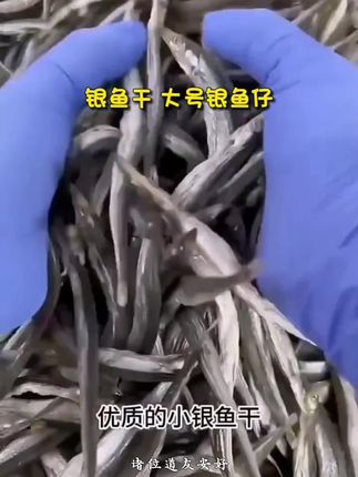 银鱼干 大号银鱼仔 淡晒鱼干 白饭鱼干 生晒无刺无骨 100g包邮 #好物分享 #好物推荐 #好物 #居家好物