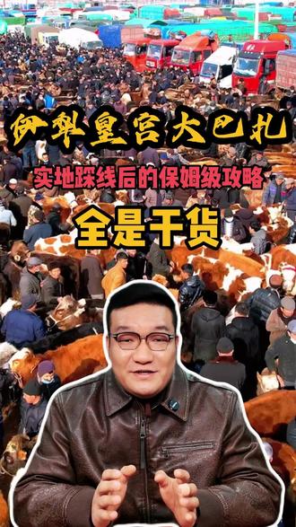 不用去喀什,在新疆伊犁也可以摸到这么肥的羊屁股 我们的冬季伊犁每一期都会卡准时间去这个大巴扎,切记周三是最热闹的,周一周五也还可以,但周二周四周日就别去了,这三天那里没什么活动。
#阿勒推大巴扎 #新疆美食 #伊犁河谷 #阿勒推 #九哥户外旅游