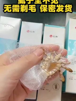 发现阴虱不用怕,试试这款百部酊喷剂#虱子 #阴虱 #虱子卵 #百部酊喷剂