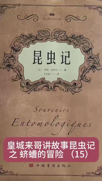 皇城来哥讲故事:昆虫记之蛴螬的冒险(15)