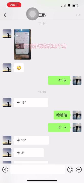 大家帮忙看看像哪个明星😅#热门 #搞笑聊天对话微信 #微信聊天记录 #明星