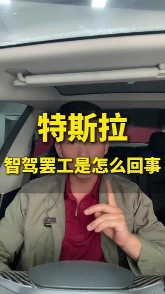 特斯拉智驾突然罢工怎么办#特斯拉 #特斯拉维修 #智驾 #新能源汽车 #新能源