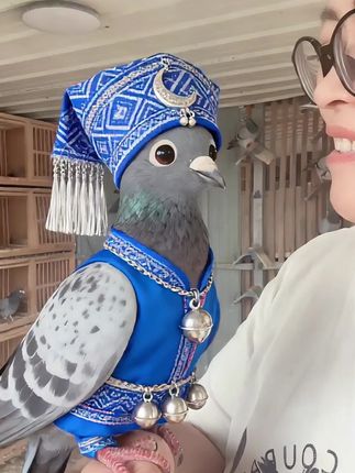 #上热搜 #万能的抖音 #每日分享