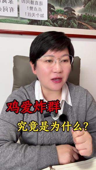 鸡爱炸群,究竟是什么原因呢?#蛋鸡养殖 #兽药厂家 #短视频创业 #自媒体创业