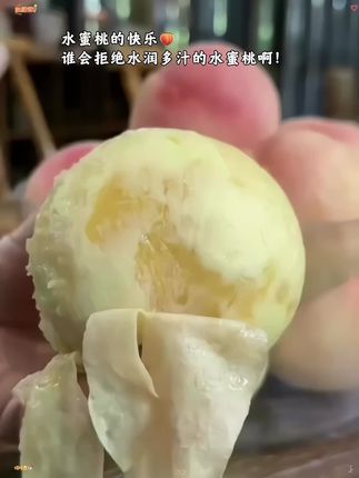 等了一年的阳山水蜜桃终于上市了,香甜水蜜桃口口爆汁,谁懂它的好吃程度啊!#水蜜桃 #软桃 #新鲜应季水果 #优质农产品 #阳山水蜜桃