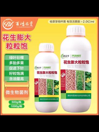 科沃华花生膨壮粒粒饱生根绿叶果多胎多花多花生专用微生物菌剂#花生粒粒饱#花生膨壮粒粒饱#微生物菌剂#花生种植#花生种植技术
