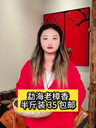 洞企石勐海老樟香普洱熟茶,条索干爽干净,茶汤红浓透亮,入口顺滑饱满,茶气足,半斤装35包邮#劲抽叹茶#洞企石#冲口仓#焱镜与茶#召唤茶友