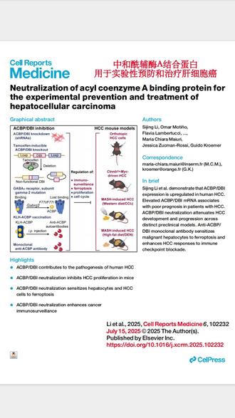 单细胞/空间组学聚焦肝脏及代谢标志物新靶点:ACBP ACBP为脂肪肝、非恶性肝病治疗新靶点,scRNA-seq结合中和抗体阻断示范有效,一体化组学流程揭示新型代谢靶点药理。
关键方法:1、scRNA-seq+蛋白组联合分型
2、病理队列&AI分型分析
3、抗ACBP抗体药理测试
4、脂肪肝临床组织和动物数据
5、代谢通路与临床指标联动
主要结果指标:1、ACBP抑制逆转多种肝病表型
2、代谢靶新机制解析
3、提供新药物验证和伴随检测
创新与局限性:
创新:转化组学推进新型肝代谢药理机制发现
局限:药物早期临床阶段,队列相对有限
#肝细胞癌 #ACBP #免疫治疗 #铁死亡 #生信分析