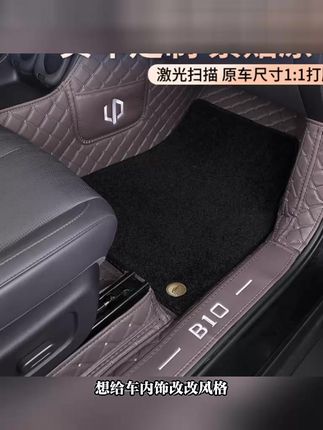 零跑B10汽车脚垫