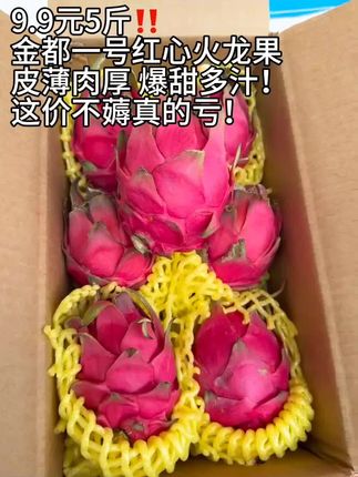 9.9元5斤!金都一号红心火龙果!皮薄肉厚,爆甜多汁!果园直发!这价明天就没了,不薅真的后悔一整年!#红心火龙果 #金都一号红心火龙果 #新鲜应季水果 #口感特别好#超便宜超划算 @抖音热点宝 @抖加🔥上热门🔥dou+🔥热点宝 @抖加🔥上热门🔥dou+🔥热点宝