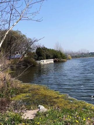 老乡,看看给你吓得啊#乡村风景