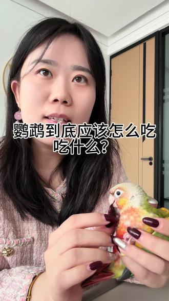 接到鹦鹉以后应该怎么喂,幼年吃什么,成年鹦鹉吃什么,总结了一下,欢迎大家一起补充#鹦鹉 #鹦鹉吃什么 #鹦鹉喂养方法