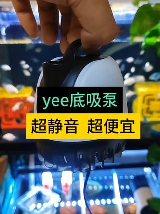好用不踩坑的超静音底吸泵!#底吸泵推荐超静音 #鱼缸水泵 #鱼缸过滤 #鱼缸水泵怎么选