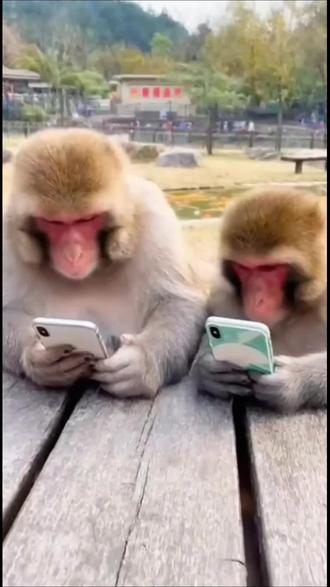 多闪隐藏玩法!小火人越玩越上瘾 #多闪app #多闪 #AI小火人聊天