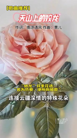 天山为卷,歌声为墨,唱尽一位女干部的赤胆初心。《天山上的姣龙》字字深情,句句泣泪,把贺娇龙红衣策马的飒爽、扎根边疆的坚守,揉进旋律里。这不仅是一首歌,更是天山儿女对她最深的怀念,听一次,热泪盈眶一次。#歌曲推荐 #歌曲推荐分享 #姣龙月季 #月季花语 #贺姣龙