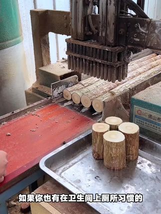 #巴西木又叫幸运木 摆在家里禅意十足,浇浇水就可以