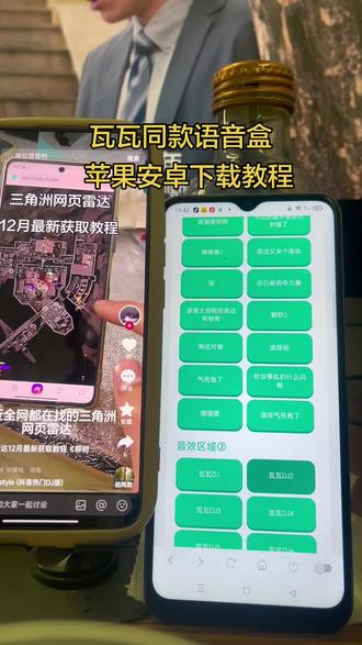 瓦瓦同款语音盒苹果安卓下载教程《柳树宝库》