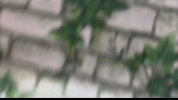 #男生宿舍#美人鱼#河南话#翻拍@清新 @My.W @咸鱼忙