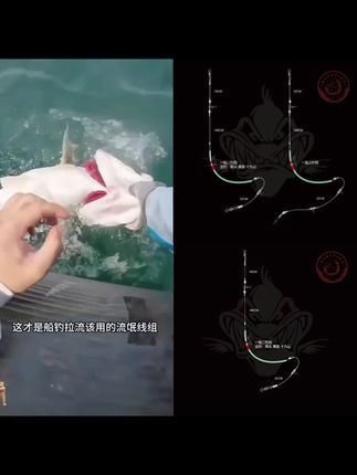 一拖二钓组鲈鱼钓组黄鱼钓组一拖二鳗鳞钓组鳗鳞钩#钓鱼的乐趣只有钓鱼人懂 #钓鱼 #鲈鱼 #爆款热卖中 #钓鱼必备