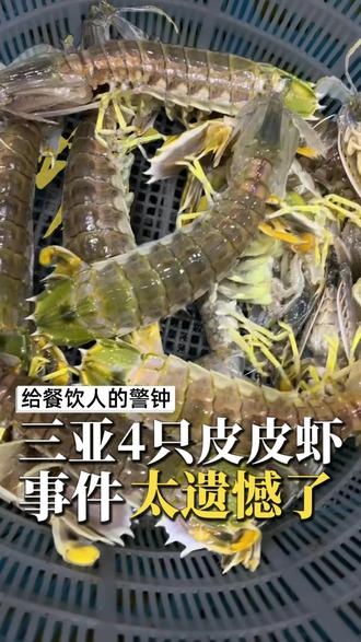 三亚皮皮虾事件,太遗憾了 这也给我们餐饮人敲响警钟#三亚皮皮虾 #消费者 #遗憾 #热点 #新闻