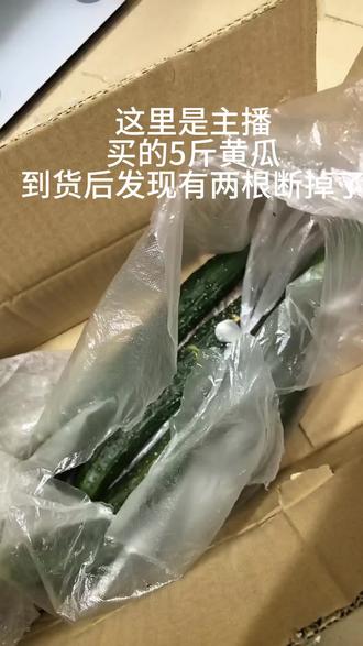 8.8r可以得到5.2斤的黄瓜,但还是有点仅退款!可恨!我不是很会剪视频,但是我还是勇敢的迈出了第一步,希望大家有耐心看完#仅退款 #女性团结 #鞠婧祎 #鞠婧祎新歌花 #好物