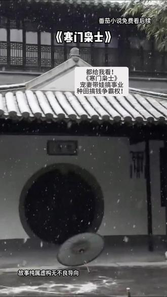 《寒门枭士》#番茄小说
