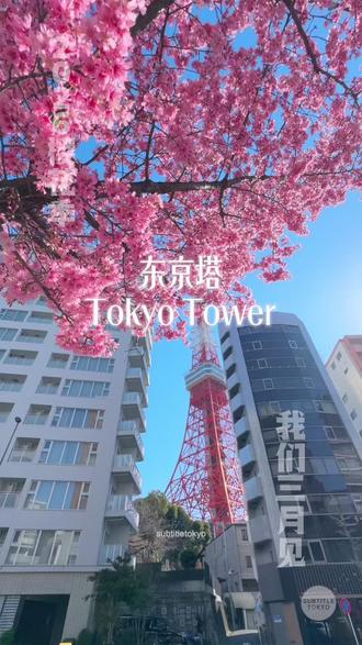 今年的樱花季来了,我们三月见! #樱花