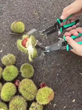 剥板栗刺球神器#板栗开壳工具