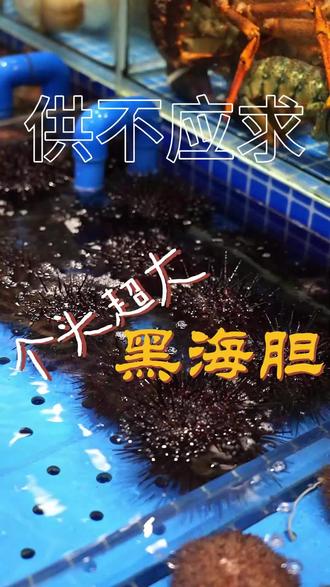这渔佬,干点活儿话真多。我觉得渔佬的意义就在于保持海货的鲜活和为时刻提供专业的意见。#鲜得来 #坐在渔港吃海鲜 @抖音小助手