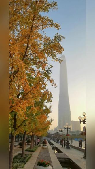 银杏大道最美时节来了,错过又要等一年!