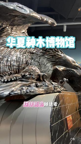 属龙属虎的免费逛华夏神木博物馆啦 #属龙属虎免费进神木博物馆
#濮阳一定要去的博物馆
#华夏神木博物馆
#小城年终囤货季
#爱抖团