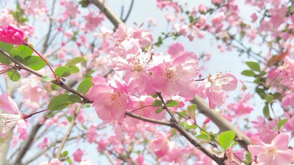 一杯开启春日快乐模式 春季养肝茶
一杯开启春日快乐模式
#春 #春季养生正当时 #春季养肝茶 #women的健康我们帮