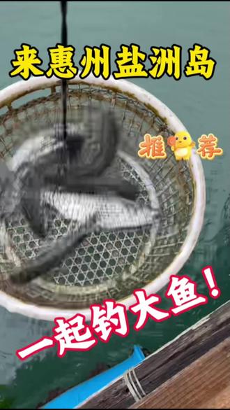 人均100可以烧烤露营海钓自由,就在惠州盐洲岛#钓鱼#鱼排筏钓 #钓鱼的乐趣只有钓鱼人懂 #野生鱼#露营