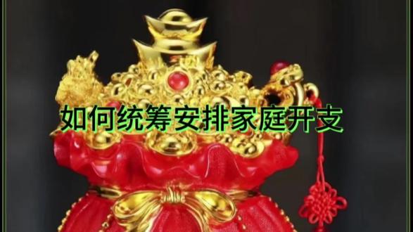 如何统筹安排家庭开支#家庭开支